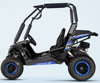 Kart à pédales à essence de style le plus récent, buggy tout-terrain pour enfants 80 avec télécommande, pas cher à vendre