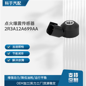 Capteur de cliquetis 1F2118921 pour la protection du moteur automobile, pièce de rechange OEM - Product Image 4