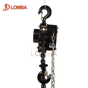 Disesuaikan Model <span class=keywords><strong>HSZ</strong></span> rantai Manual <span class=keywords><strong>Hoist</strong></span> baru 1 Ton 2 Ton 3 Ton crane untuk konstruksi jembatan pabrik baja rantai G80 - Product Image 2