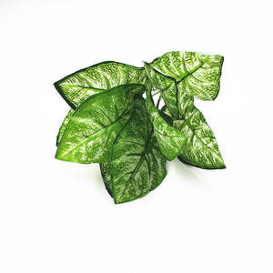 Plante verte artificielle en pot M232, 24 pièces, composition de feuilles à colle, feuilles de Magnolia d'olive en soie DIY - Product Image 5