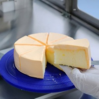 Coupe-aliments à ultrasons, machine automatique de découpe de gâteaux pour boulangerie, usine de transformation de gâteaux à la crème, de cheesecakes et de brownies