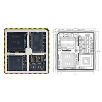 Carte de développement Allwinner T113-i double cœur Linux Rongpin RP-T113-i CN/GUA Type de montage