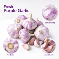 Ail frais à peau violette, naturel chinois, emballage personnalisé OEM, vente en gros en vrac, marque privée, carton et sac en filet sur mesure