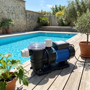0.25hp 0.5hp 0.75hp 1.2hp Water Motor <strong>Pool</strong> Pump Price <strong>Swimming</strong> <strong>Pool</strong> <strong>Small</strong> Pumps for <strong>Pool</strong> - Product Image 1
