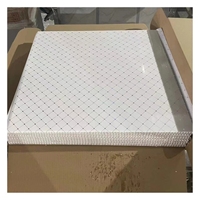 Plaque de plafond décorative imperméable Matériaux de construction 595/603mm Panneaux en PVC 3D Panneau de plafond en PVC