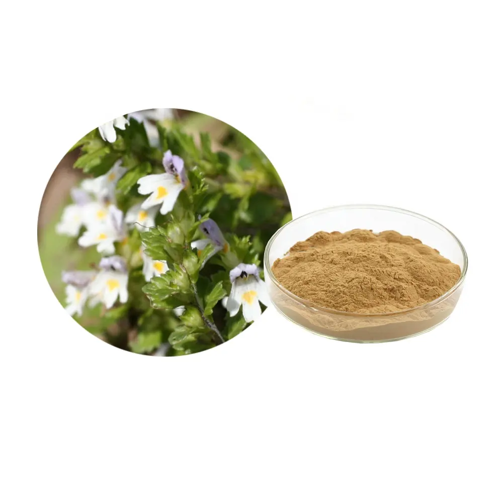 Eyebright chiết xuất bột flavonoids 25% euphrasia officinalis L chiết xuất 10:1