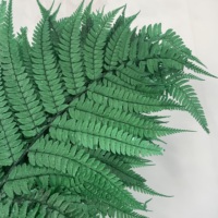 Tiges de fougères séchées naturelles et préservées, fleurs éternelles pour décoration murale DIY, Noël, Fête des Mères