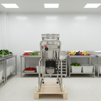 Broyeur en acier inoxydable Hongxin pour la pulpe, machine à écraser les tomates et l'ail, moteur 1800W, capacité 55KG, usage intensif pour la transformation alimentaire