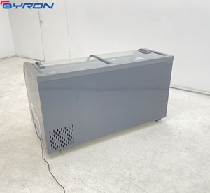 Congelador Comercial Horizontal con Ruedas para Fácil Movimiento y Limpieza, Ideal para Mercados de Agricultores y Venta al por Mayor de Alimentos - Product Image 2