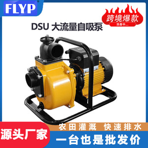 Self Priming Pump 220V 380V High Flow Centrifugal Water Pump For Agricultural Irrigation - Product Image 5