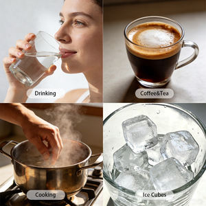 Eeuwige Wereld Alkalische Oplossing Waterfilter pH Verhogende Silicaat Minerale Filter voor Thuis - Product Image 3