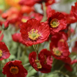 Fleurs de pavot artificielles colorées décoratives de maison de table de mariage