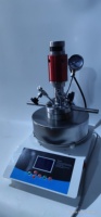 Reactor de Síntesis Hidrotermal Química Industrial de 100 ml, Autoclave de Alta Presión con Agitación