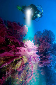 مصباح غوص Xhp70 بقوة 10000 لومن مع مفتاح دوار للرأس، مقاوم للماء بمعيار IP68 حتى عمق 25 مترًا تحت الماء - Product Image 6