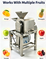 Extracteur de jus en spirale robuste avec séparation automatique des pulpes pour pommes, céleri et légumes – Machine d'extraction à froid