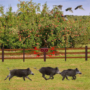 太阳能驱虫动物声光报警器，带红外远程报警系统，适用于鸟类和野猪的家庭驱虫器 - Product Image 4