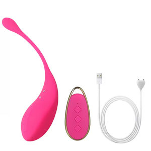 Vibrador al por mayor de silicona recargable, impermeable, con 10 frecuencias, para masturbación femenina y ejercicios de Kegel, con control remoto. - Product Image 1