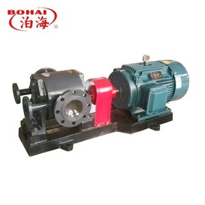 Pompe à engrenages à bain thermique série WQCB pour l'industrie lourde, sur mesure OEM, à faible débit de sortie - Product Image 2