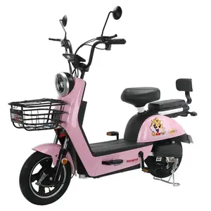 Electric 48V City Bike with Rear Hub Motor Electronic Smart Type down Tube Battery Position