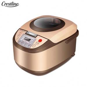 Cuociriso Elettrico Multifunzione di Lusso Portatile con Alloggiamento Dorato e Funzione Slow Cooker - Product Image 1