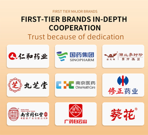 Lijitang 2025モーションシックスリックパッチハーバルパッチ子供用大人用 - Product Image 4