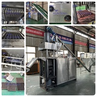Ligne de production complète de briquettes de charbon à chicha, machine de fabrication de charbon à chicha en cubes de coque de noix de coco, projet clé en main pour usine