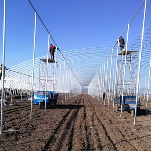 Large Plastic <strong>Poly</strong> Film Agriculture Greenhouse Low <strong>Cost</strong> High <strong>Tunnel</strong> for Growing Vegetables Hydroponic Agriculture Greenhouse - Product Image 5