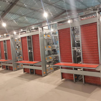 Cage à poules pondeuses entièrement automatique de type H, grande capacité (3-12 niveaux), pour l'élevage industriel de poulets