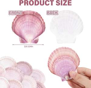 เปลือกหอยหอยเชลล์ธรรมชาติ30ชิ้นเปลือกหอยจริงสีม่วงแดงจากชายหาดสำหรับงานจิตรกรรมงานฝีมือ DIY ของตกแต่งงานแต่งงาน - Product Image 2