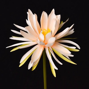 Flor Artificial de Epiphyllum Verde, Tallo Único Rosa, Decoración Realista para el Hogar, Manualidades con Linternas Navideñas, Arte Floral - Product Image 3