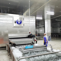 Fabrieks prijs vloeibare stikstof instantvriezer tunnel IQF snelvriezer voor frieten aardappelchips