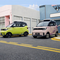 Precio de fábrica Venta directa SAIC Wuling Hongguang Mini Ev Mini coche eléctrico