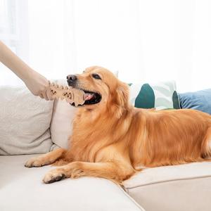 Juguetes Masticables para Perros Interactivos, Ecológicos, No Tóxicos, de WPC, para Limpieza de Dientes, Duraderos y Modernos - Product Image 6