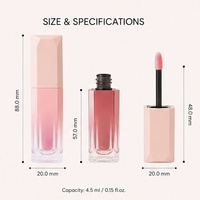 Base de gloss à lèvres marque privée effet miroir repulpant 5ml, finition verre dégradé multicolore pour maquillage de fête – Le meilleur