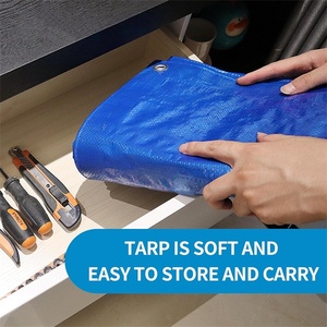 YRH Factory Heavy Duty PE PVC Bordes reforzados <span class=keywords><strong>Techo</strong></span> <span class=keywords><strong>Lona</strong></span> transparente <span class=keywords><strong>para</strong></span> <span class=keywords><strong>patio</strong></span> y hoja <span class=keywords><strong>de</strong></span> rollo <span class=keywords><strong>de</strong></span> planta <span class=keywords><strong>de</strong></span> jardín - Product Image 4