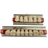 Dents dentaires artificielles ombre A2 taille 503 dents dentaires en résine acrylique