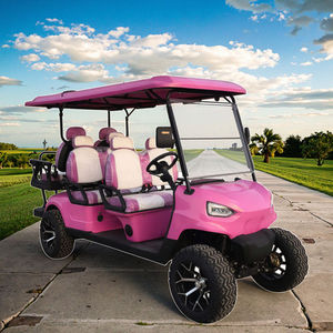 Voiturette de golf électrique compacte pratique pour la vente en gros, certifiée DOT CE GCC EEC pour les routes non publiques - Product Image 2