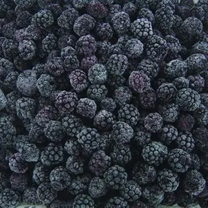 Pasokan Produk Laris Berkualitas Baik Bersertifikasi IQF Frozen Blackberry/Frozen Blackberry Puree