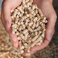 Granulés de bois de première qualité, combustible biomasse, diamètre 6 mm, faible teneur en cendres inférieure à 0,7 %, humidité inférieure à 10 %, valeur calorifique élevée, qualité ENplus