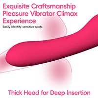 OEM/ODM Dubbelzijdige G-spot Clitoris Vaginale Plezier Stimulator, Veilige Siliconen, USB Oplaadbaar, Waterdicht, 10 Frequenties, Orgasme, CE-gecertificeerd