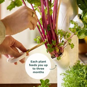 Gardyn 4.0 Smart Indoor Tuinieren Systeem Commerciële Verticale Landbouw 30 Niet-Gmo Planten Planter Geleid Teelt Landbouwkassen - Product Image 4