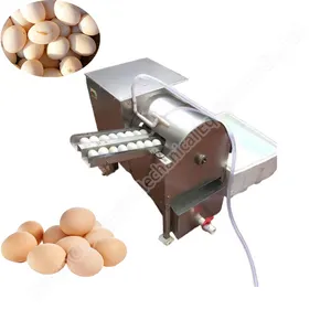 Eierwasmachine Kleine Eierschaal Reinigingsmachine Borstel Eierreiniger