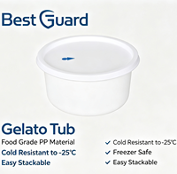 Contenitore per Gelato in Plastica Impilabile Resistente al Freddo -25°C, Ecologico, Senza PFAS, Spessore 1mm, Grado Alimentare PP