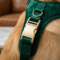 Boucle latérale réglable en aluminium avec logo personnalisé, 15 mm, 20 mm, 25 mm, boucle en métal légère pour sac, collier de chien