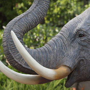 Sculpture d'éléphant sauvage grandeur nature en fibre de verre pour musée, décoration de jardin et pelouse, ornements, fabrication OEM - Product Image 6