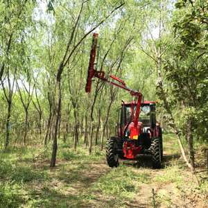 Ébrancheuse pour tracteur/ Ébrancheuse à long manche - Product Image 2