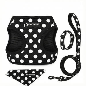 Ensemble de harnais et de laisse pour chien réglable avec bandana à nœud papillon personnalisé, harnais à enfiler personnalisé, ensemble de laisse pour la marche - Product Image 1