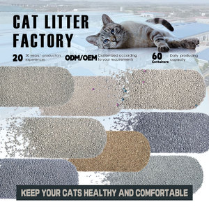 畅销产品2024膨润土猫砂高品质膨润土猫砂香味膨润土猫砂玫瑰香味 - Product Image 6
