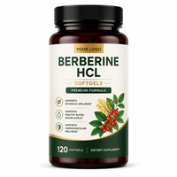 Gélules de berbérine HCL de haute qualité en gros (OEM/ODM) pour l'équilibre métabolique et les soins corporels – Complément de santé sous marque privée