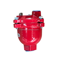 Vanne de purge d'air automatique en fonte ductile PN16 DN15 DN20 DN25 pour système de conduite d'eau